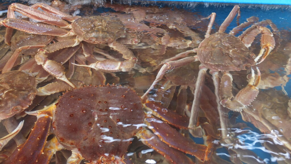 2015 Jeju South Korea Holiday