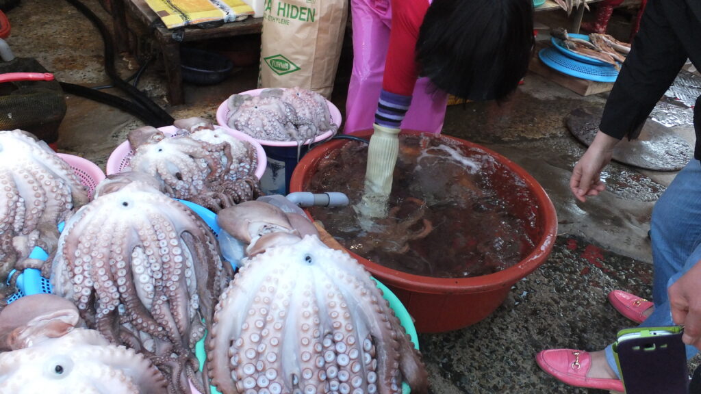 2015 Jeju South Korea Holiday