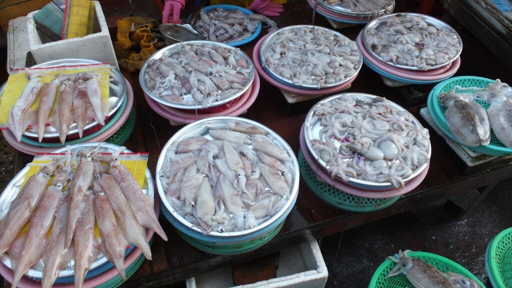 2015 Jeju South Korea Holiday