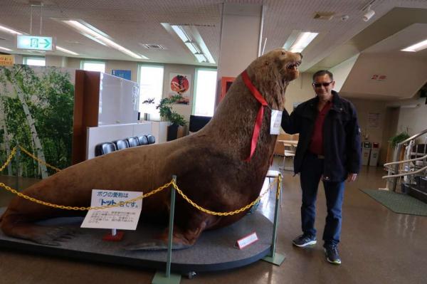 Kintappu Cape Museum