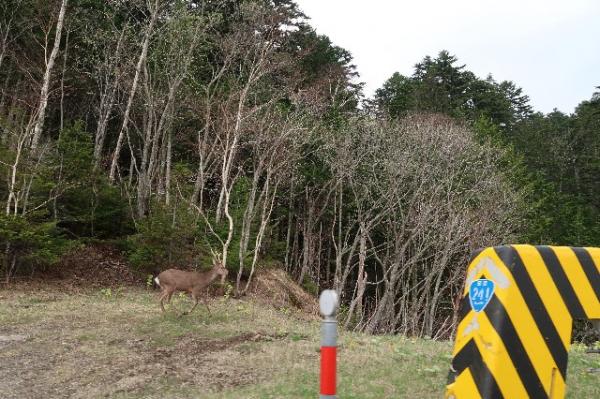 Lake Kussharo Pass to Abashiri
