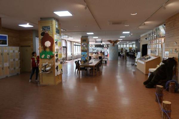 Shiretoko Nature Center - Main Lobby