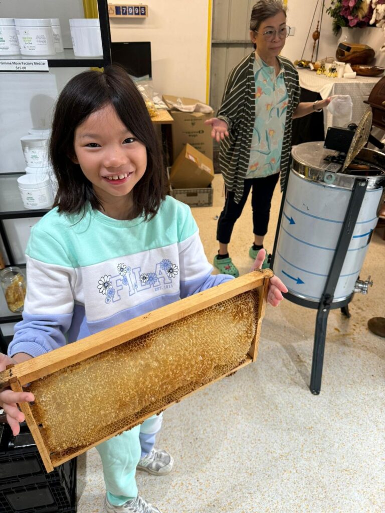 Bee farm at Brisbane Australia