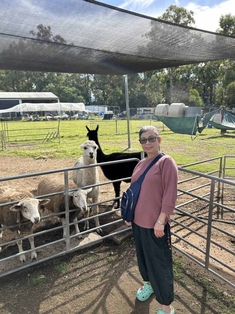 Nique Hobby Farm Haigslea