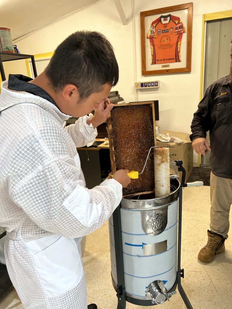 Bee farm at Brisbane Australia