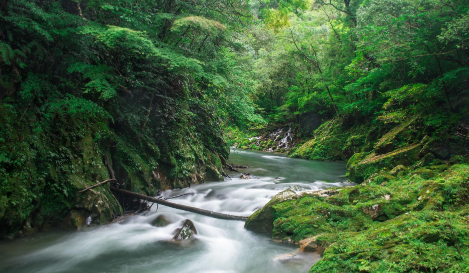 Explore Kaeda Valley