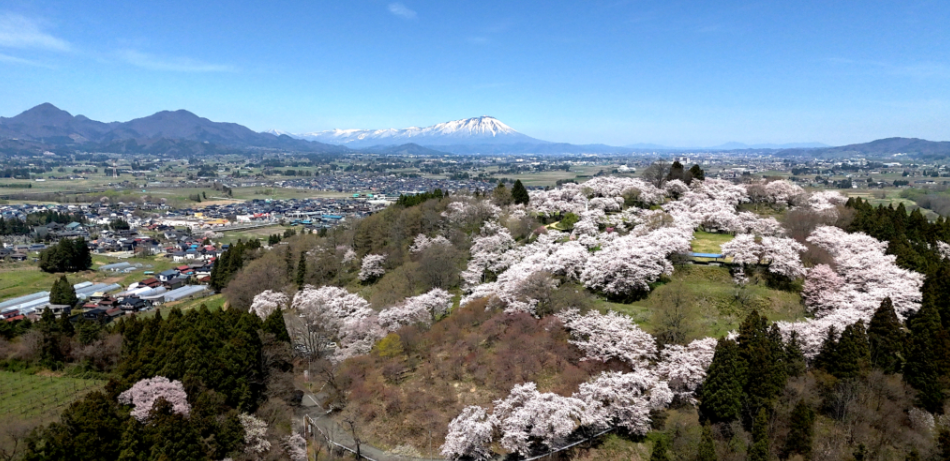 Shiroyama Park
