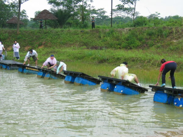 2004 Kota Rainforest Resort IFF