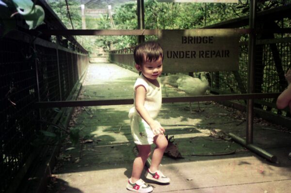 1989 Visit to Bird Park with Derric and Eric