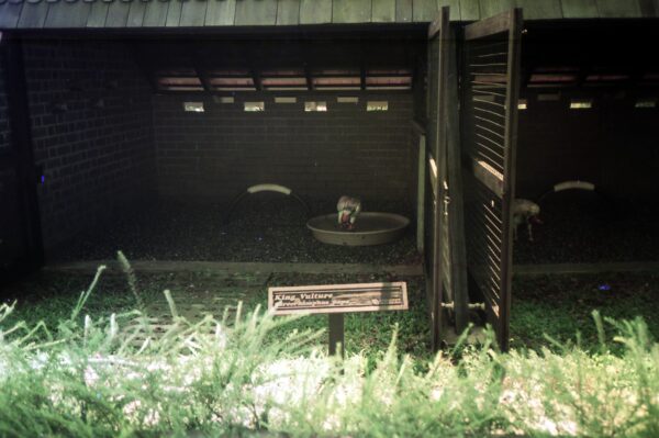 1989 Visit to Bird Park with Derric and Eric