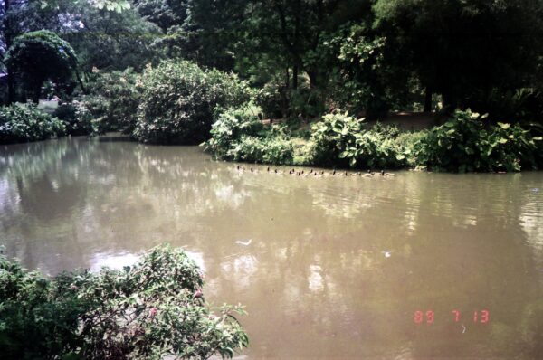 1989 Visit to Bird Park with Derric and Eric