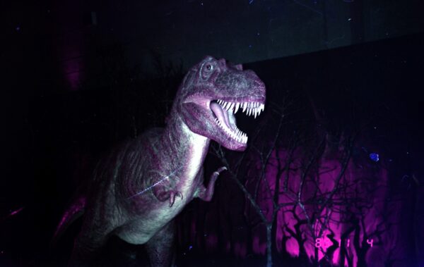 1989 Visit to Dinosaur Exhibition at Singapore Science Centre