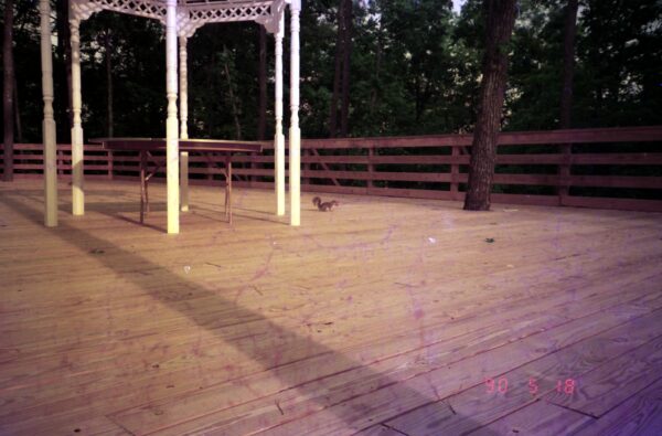 1990 Sally visit to Atlanta and Stone Mountain