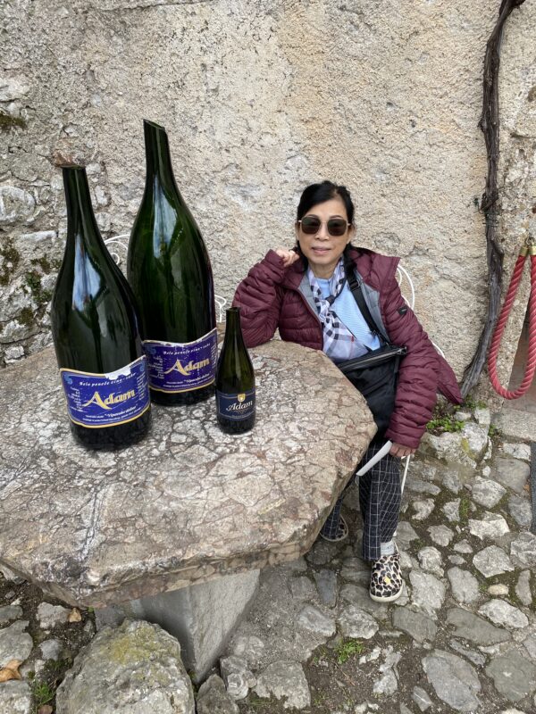 2023 Croatia Slovenia Europe Holiday Tour Bled Castle