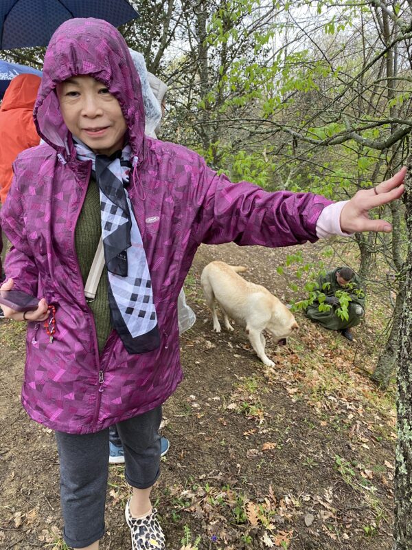 Truffle Hunting with dog sniffing on ground